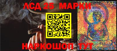 гашик Будённовск