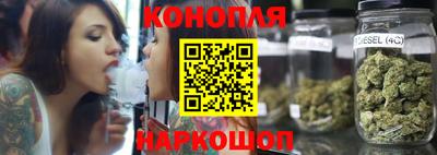 гашик Будённовск