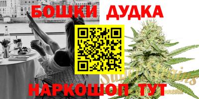 гашик Будённовск